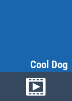 Cool_dog