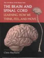 The_brain_and_spinal_cord