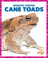 Cane_toads
