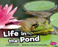 Life_in_a_pond