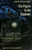 The_figure_in_the_shadows