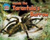 Inside_the_tarantula_s_burrow