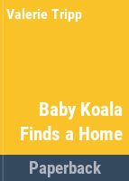 Baby_Koala_finds_a_home