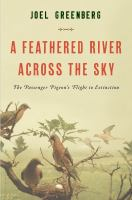 A_feathered_river_across_the_sky