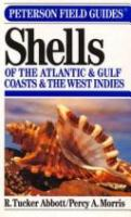 A_field_guide_to_shells