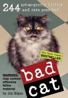 Bad_cat