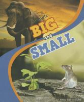 Animals_big_and_small