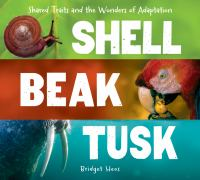 Shell__beak__tusk