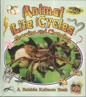 Animal_life_cycles