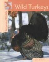 Wild_turkeys