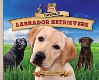 Lovely_Labrador_retrievers