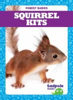 Squirrel_kits
