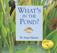 What_s_in_the_pond_