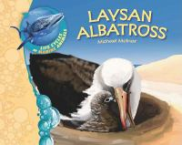 Laysan_albatross