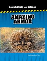 Amazing_armor