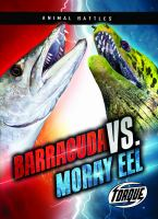 Barracuda_vs__moray_eel