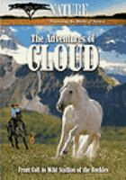 The_adventures_of_Cloud