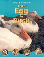 From_egg_to_duck