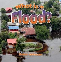 What_is_a_flood_