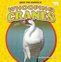 Whooping_cranes