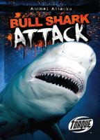Bull_shark_attack