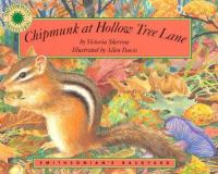 Chipmunk_at_Hollow_Tree_Lane