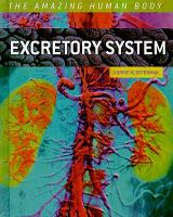Excretory_system