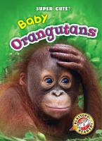Baby_orangutans