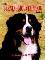 The_Bernese_mountain_dog_today