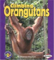Climbing_orangutans