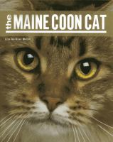 The_Maine_coon_cat