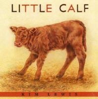 Little_calf