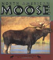 North_American_moose