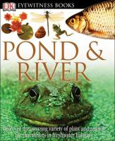 Eyewitness_pond___river