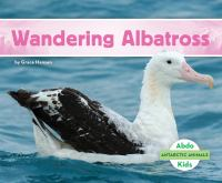 Wandering_albatross