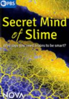 Secret_mind_of_slime