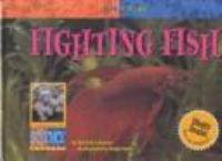 Fighting_fish