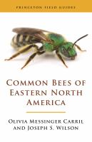 Common_bees_of_eastern_North_America