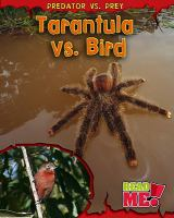 Tarantula_vs__bird