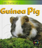 Life_cycle_of_a_guinea_pig