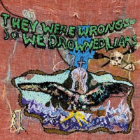 They_Were_Wrong_So_We_Drowned