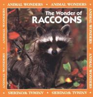 The_wonder_of_raccoons