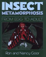 Insect_metamorphosis