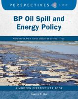 BP_oil_spill_and_energy_policy