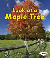 Look_at_a_maple_tree