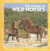 The_wonder_of_wild_horses