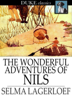 The_wonderful_adventures_of_Nils